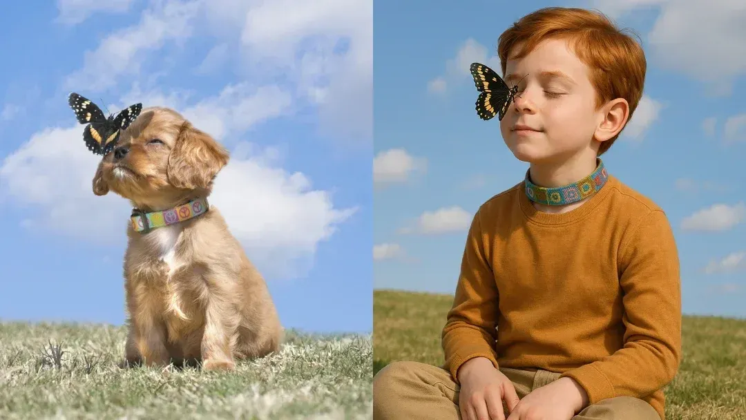 Pet to human AI tools