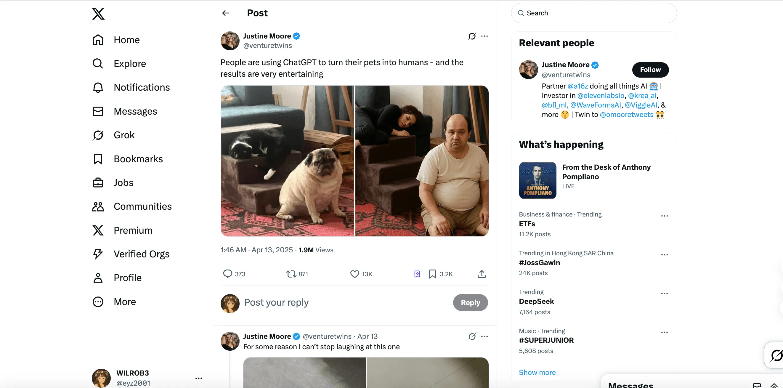 Pet to human on twitter